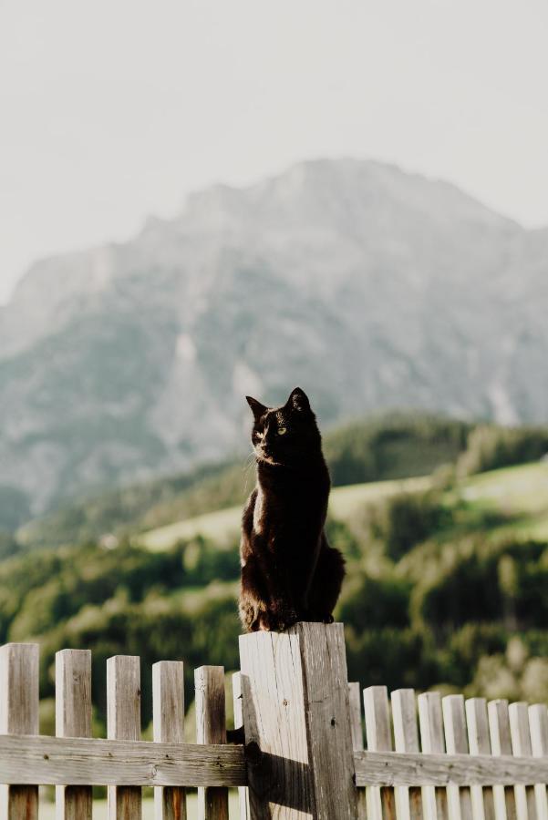 Apartmán Obergrundhof Leogang Exteriér fotografie